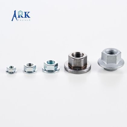 Hex Flange Nut